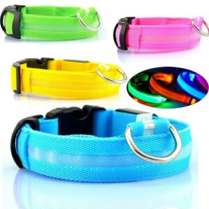 USB Rechargeable Smart Dog Collar